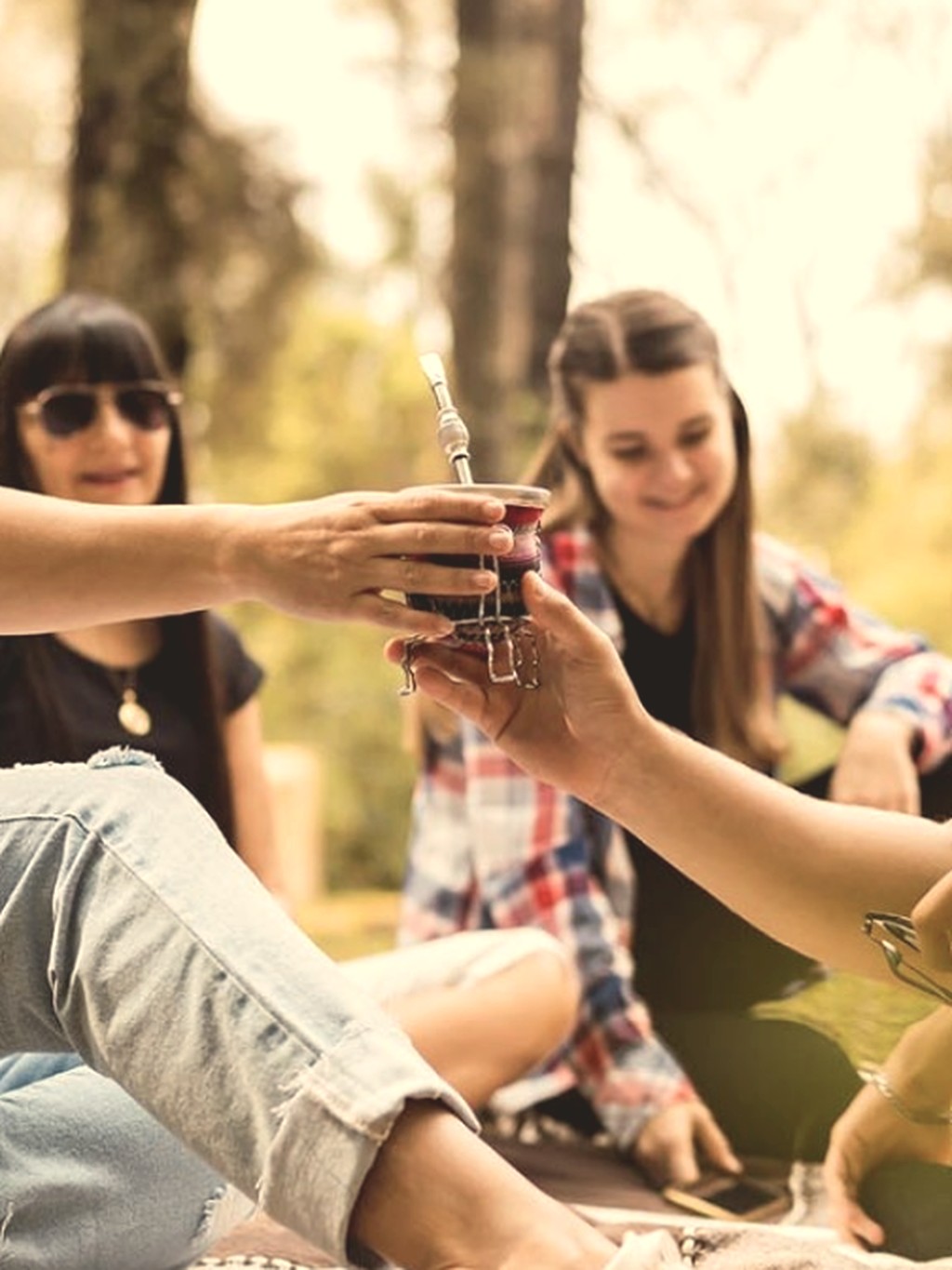Mate Tasting in the Park